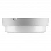  WOLTA PRO  01-8-001-6 8 6500 IP65  640 19048